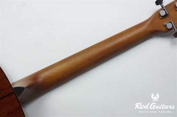 F-351I - Tobacco Sunburst